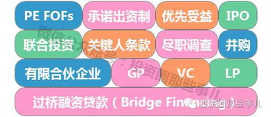 股权投资与投资管理 解读现代资本运作的双翼